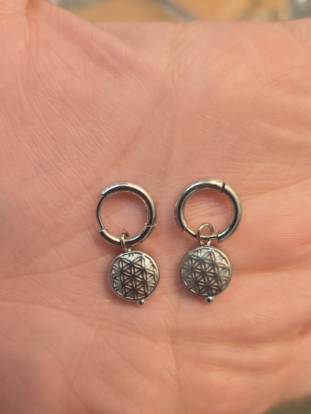 Plunder--Silver Geometric Disc Hoop Earrings